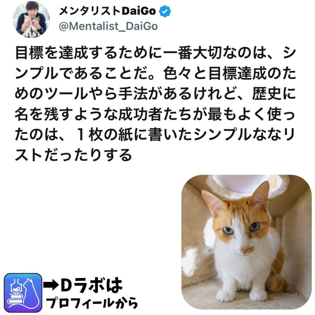 メンタリストDaiGoのインスタグラム：「🐈本日の名言📚 プロフィールからDラボもみてね  #心理学 #メンタリスト #dラボ  #dラボはプロフィールから」