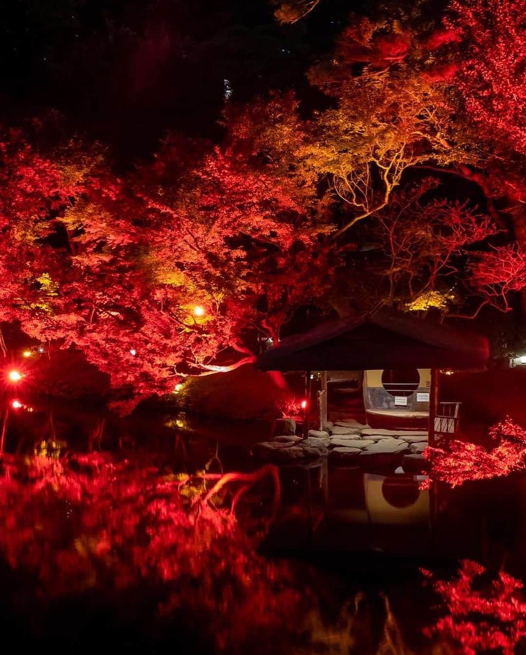 八芳園さんのインスタグラム写真 - (八芳園Instagram)「明日から開催🍁『TOKYO RED GARDEN AUTUMN FESTIVAL 2023』🍁2023.11.10 fri – 12.10 sun  江戸時代から続く八芳園の歴史ある日本庭園が赤一色にライトアップされ、秋の訪れを告げる真っ赤な世界が咲き誇る特別な夜。  幻想的に演出された約400年の歴史を紡いできた八芳園の庭園内にて、まるで自然の美と調和するアートを愉しむような日本の秋をお過ごしください。  【Garden Light Up】 ・開催期間：2023年11月10⽇(⾦)〜12月10⽇(⽇) ・開催時間：⽇没〜21時まで ・入場無料  ▼「TOKYO RED GARDEN AUTUMN FESTIVAL 2023」 https://happo-en.com/event/autumn_festival2023/  ※写真はイメージ・過去のイベントの様子です  🍁🍁🍁  #tokyoredgarden2023  🍁🍁🍁  #八芳園 #happoen #日本庭園 #Japanesegarden #紅葉 #紅葉スポット #🍁 #紅葉狩り #紅葉ライトアップ」11月9日 22時12分 - happoen