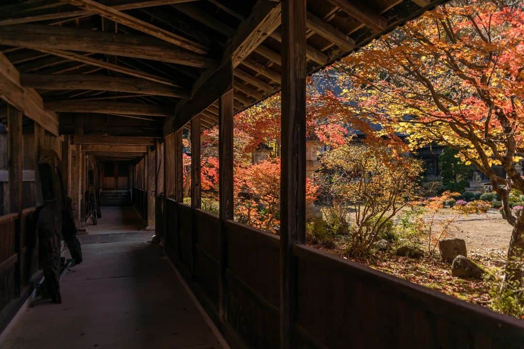 s_shoheyのインスタグラム：「. やっと週末から秋らしくなりそうです🍁 . 暦ではもう冬だけど、、、 .」