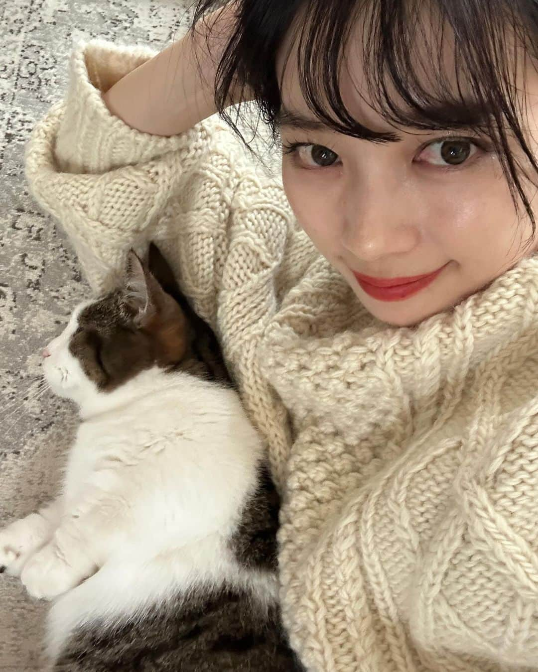 mizukiさんのインスタグラム写真 - (mizukiInstagram)「愛媛でのいろんな写真🤳 撮影のお仕事もさせてもらって可愛い着物も着たりしたよ☺️ 地元でこうやって着物を着て歩くのは初めて！人力車も初めて🤼‍♂️ 愛しのジジの写真もいくつか見てください😽🎀 ㅤㅤㅤㅤㅤㅤㅤㅤㅤㅤㅤㅤㅤ #松山#道後#着物」11月9日 22時29分 - mizukidrop