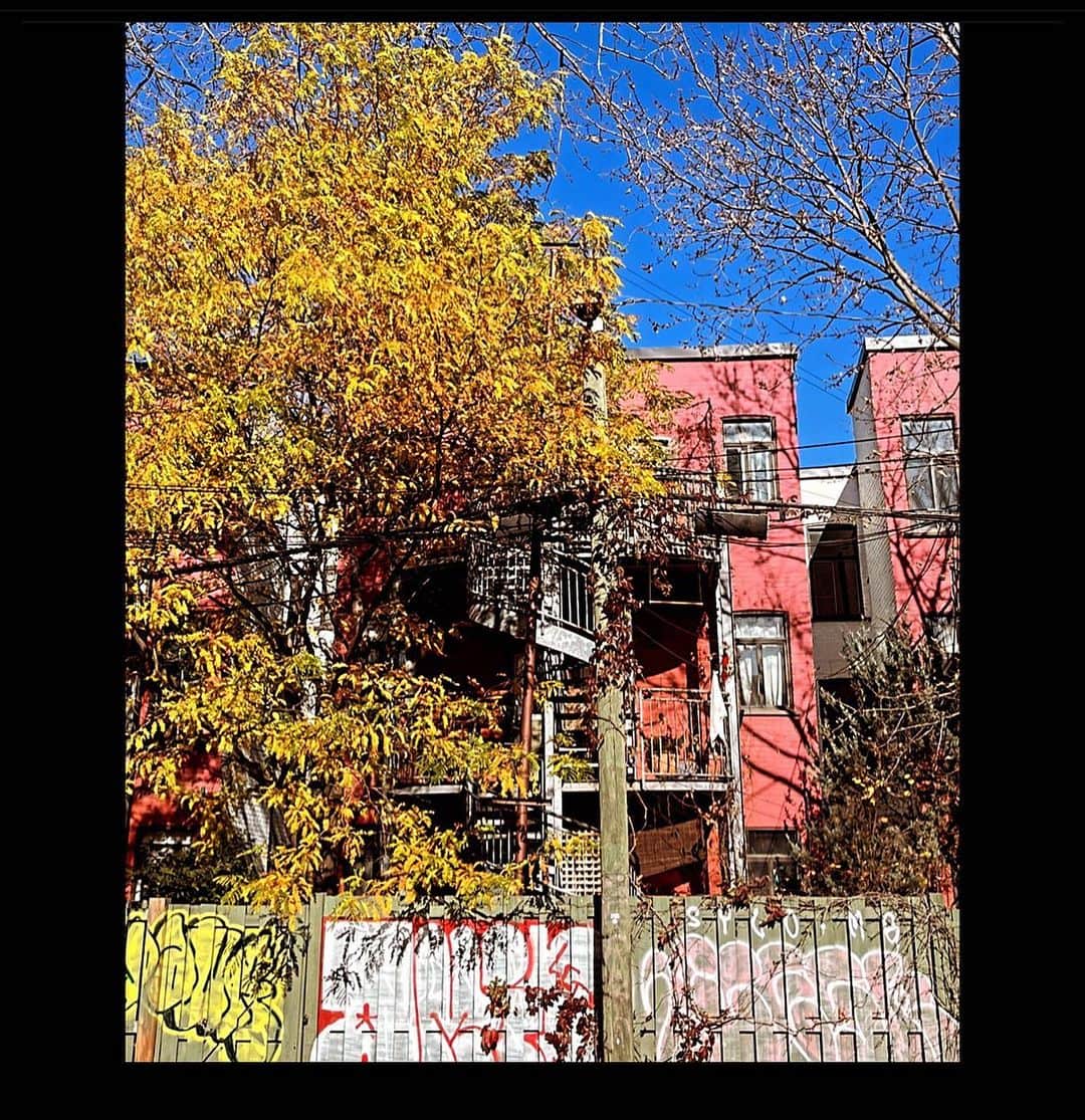 エマニュエル・ベアールのインスタグラム：「Montreal novembre 2023.」