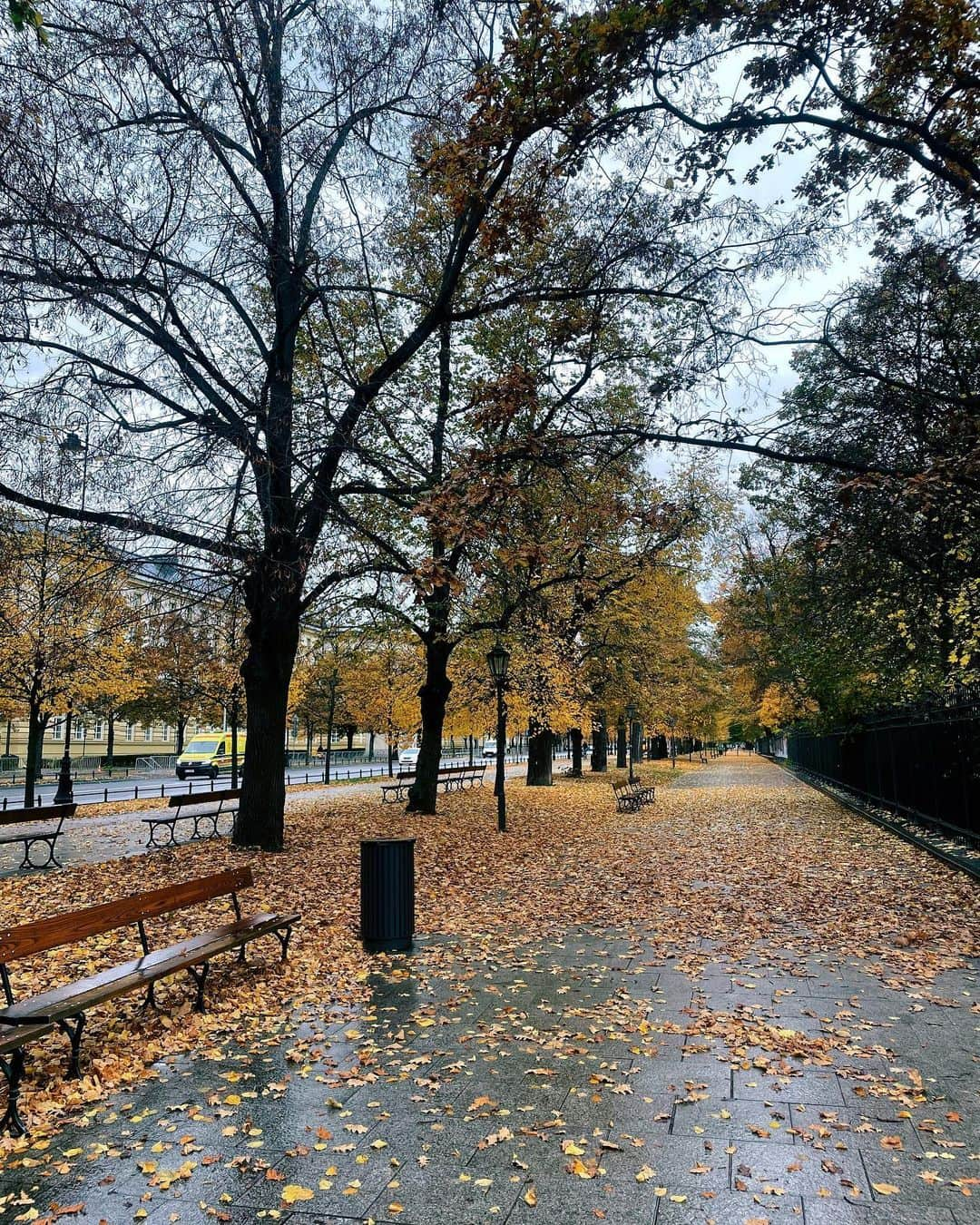 彩希エリナのインスタグラム：「autumm mood🍂  永遠に歩ける☺️✨  #trip #travel #travelphotography #traveltheworld #traveler #poland #warsaw #autumm #autummood #walk #旅 #旅行 #旅行記 #旅行好き #海外旅行 #海外旅行記 #海外旅行大好き #海外旅行好きな人と繋がりたい #旅行好きな人と繋がりたい #秋 #紅葉 #散歩 #ポーランド #ワルシャワ #深呼吸 #🍂」