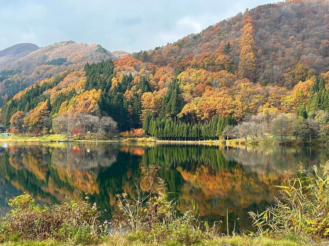 坂東龍汰のインスタグラム：「美しでした🌲🍁🍂⛰️」