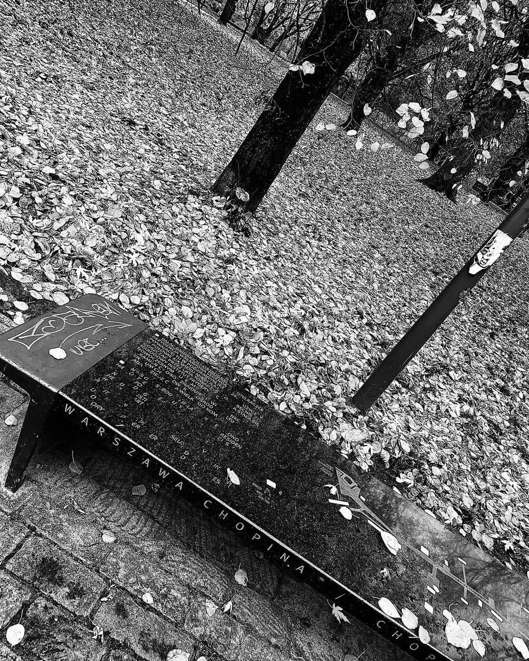 彩希エリナのインスタグラム：「Playing Chopin benches🎶  座るとショパンの曲が流れるベンチ🎹 公園のベンチに座って深呼吸したのなんていつぶりやろ🌬️  #trip #travel #travelphotography #traveltheworld #traveler #poland #warsaw #autumm #autummood #walk #chopin #music #piano #旅 #旅行 #旅行記 #旅行好き #海外旅行 #海外旅行記 #海外旅行大好き #海外旅行好きな人と繋がりたい #旅行好きな人と繋がりたい #秋 #紅葉 #散歩 #ポーランド #ワルシャワ #ショパン #ショパンのベンチ #音楽」