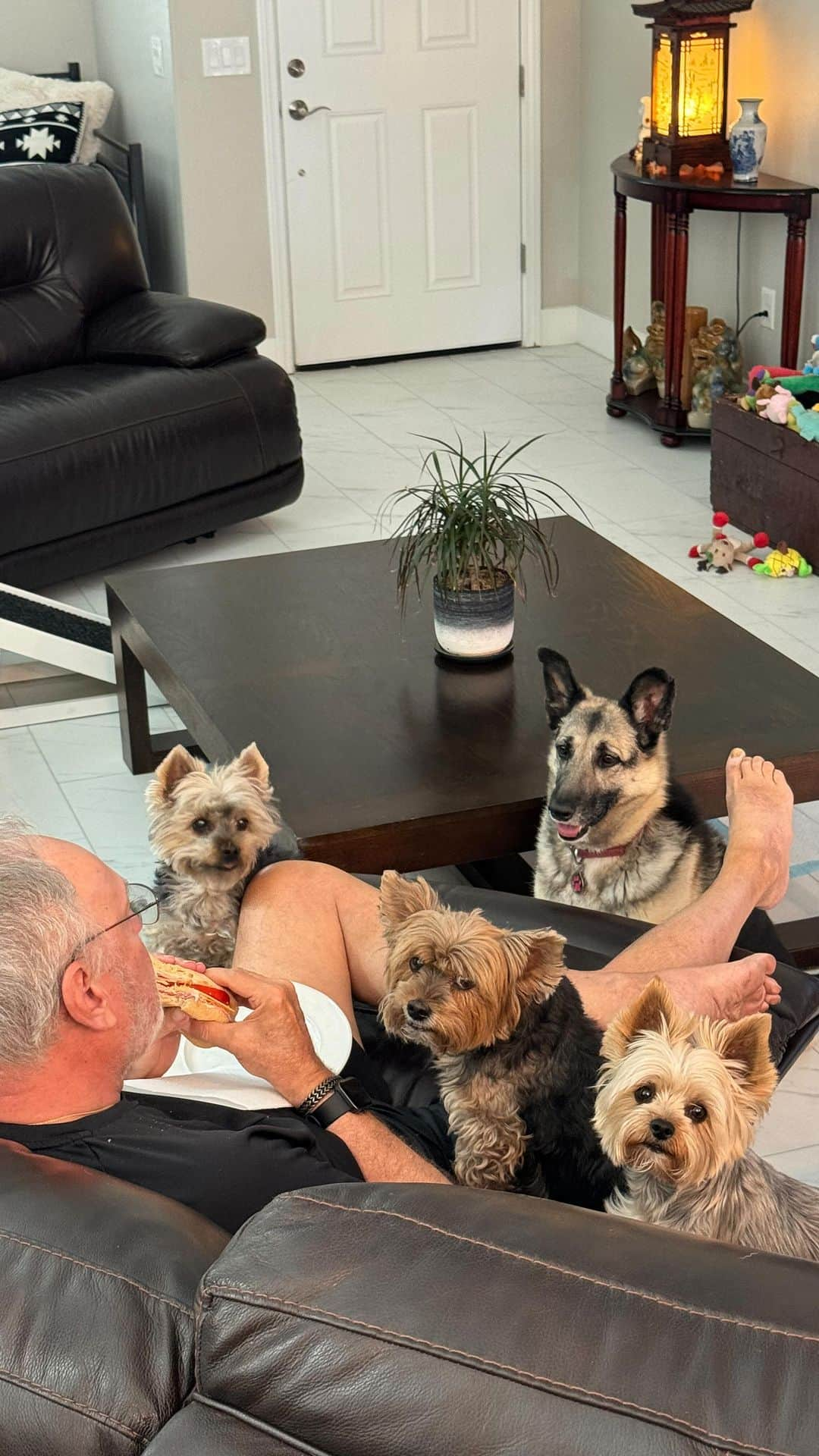 のインスタグラム：「Max, Allie, Sammy & Misty 💭 We are always standing by in case daddy needs help with his food. 😆😛🤭😋♥️🫶🏼🥰 #JustInCase #StandingBy #LittleBeggars #HappySingleDay #EveryMeal #DinnerShow #HilariousDogs #SoPolite #RightInYourFace #WeLoveOurDaddy」