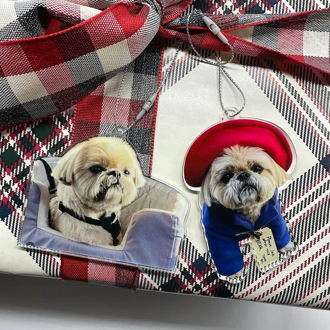 Dougie the Shih Tzuのインスタグラム：「Folks, there won’t be a 2024 calendar, but we do have these adorable acrylic charms to use as ornaments or on gift wrapping for that special Dougie lover in your life.  Both styles (Ride or Die Dougie and Paddington Bear) are included in one order. Link in bio or go to https://dailydougie.com/products/dougie-acrylic-charms」