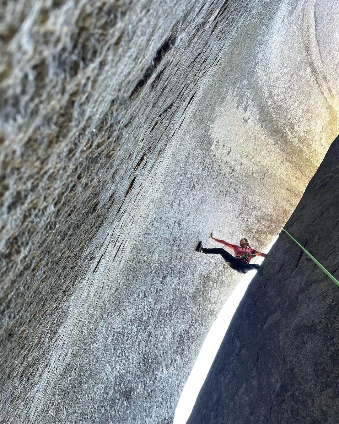 サッシャ・ディギーリアンさんのインスタグラム写真 - (サッシャ・ディギーリアンInstagram)「Vertical yoga 🧘🏼‍♀️ for the hips.  - @chrisvanleuven」11月10日 1時15分 - sashadigiulian