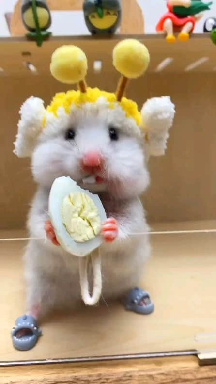 Cute baby animal videos picsのインスタグラム