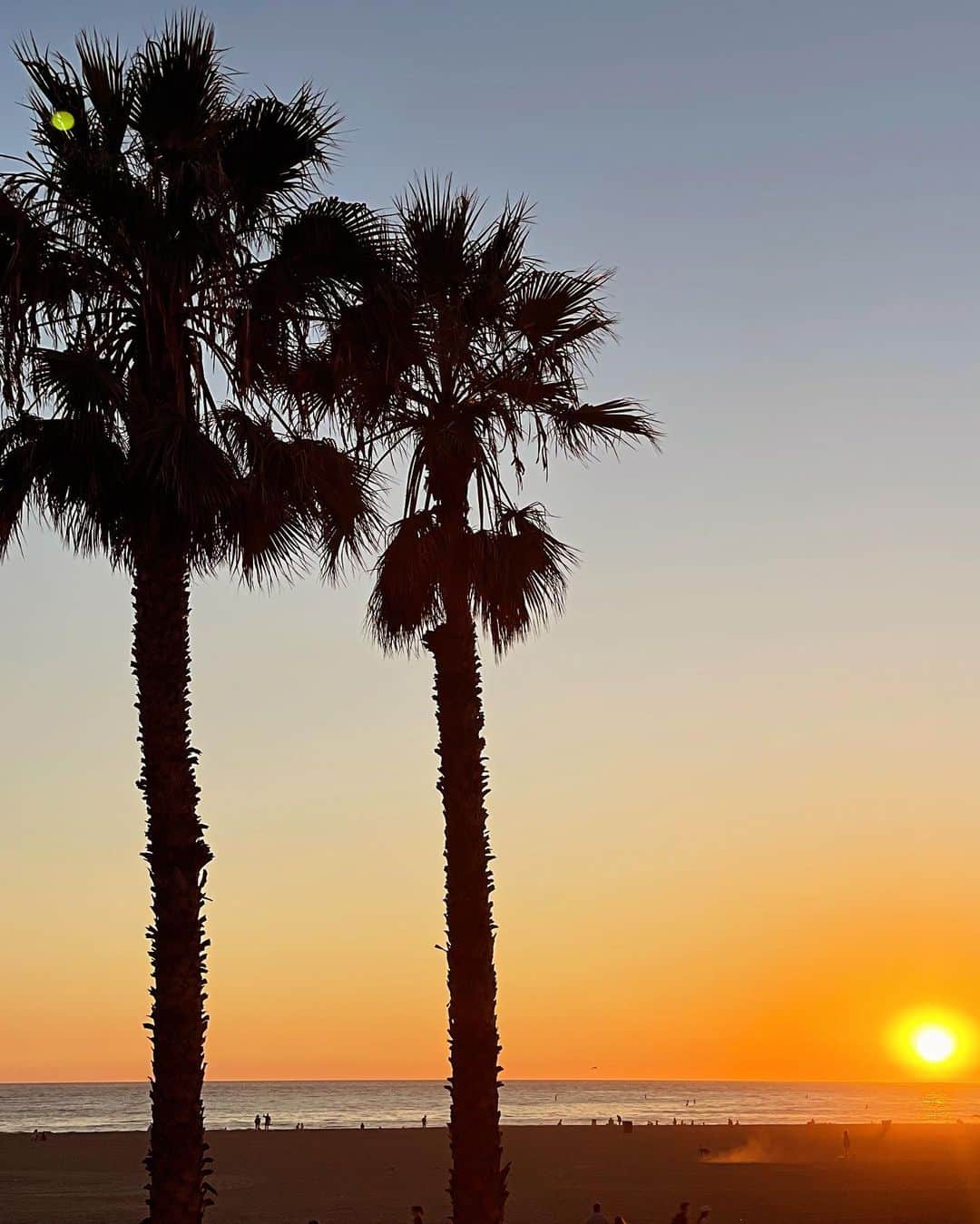 リア・ミシェルさんのインスタグラム写真 - (リア・ミシェルInstagram)「Got a glimpse of the beautiful California sunset last month 🌅」11月10日 1時40分 - leamichele