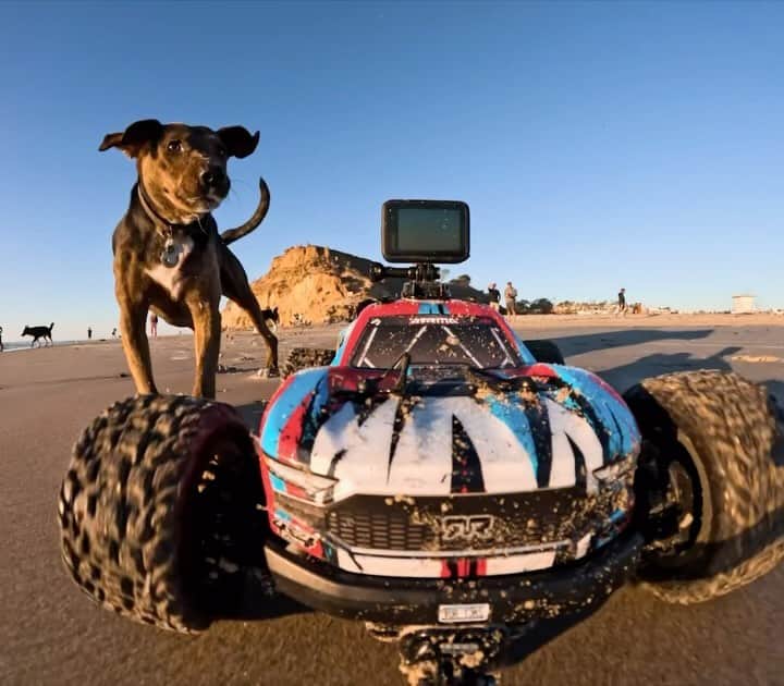 goproのインスタグラム：「Chasing HERO12 Black > chasing your tail 🐶 #ProTip: Use HyperSmooth with AutoBoost for maximum stabilization + minimal cropping when you know your camera is in for a rough ride 💪  For a limited time, score 3 Enduro Batteries + the Dual Battery Charger when you pick up a #GoProHERO12 Black on GoPro.com.  #GoPro #HyperSmooth #GoProPets #DogsOfInstagram #Dogs #DogsLife #Cute」
