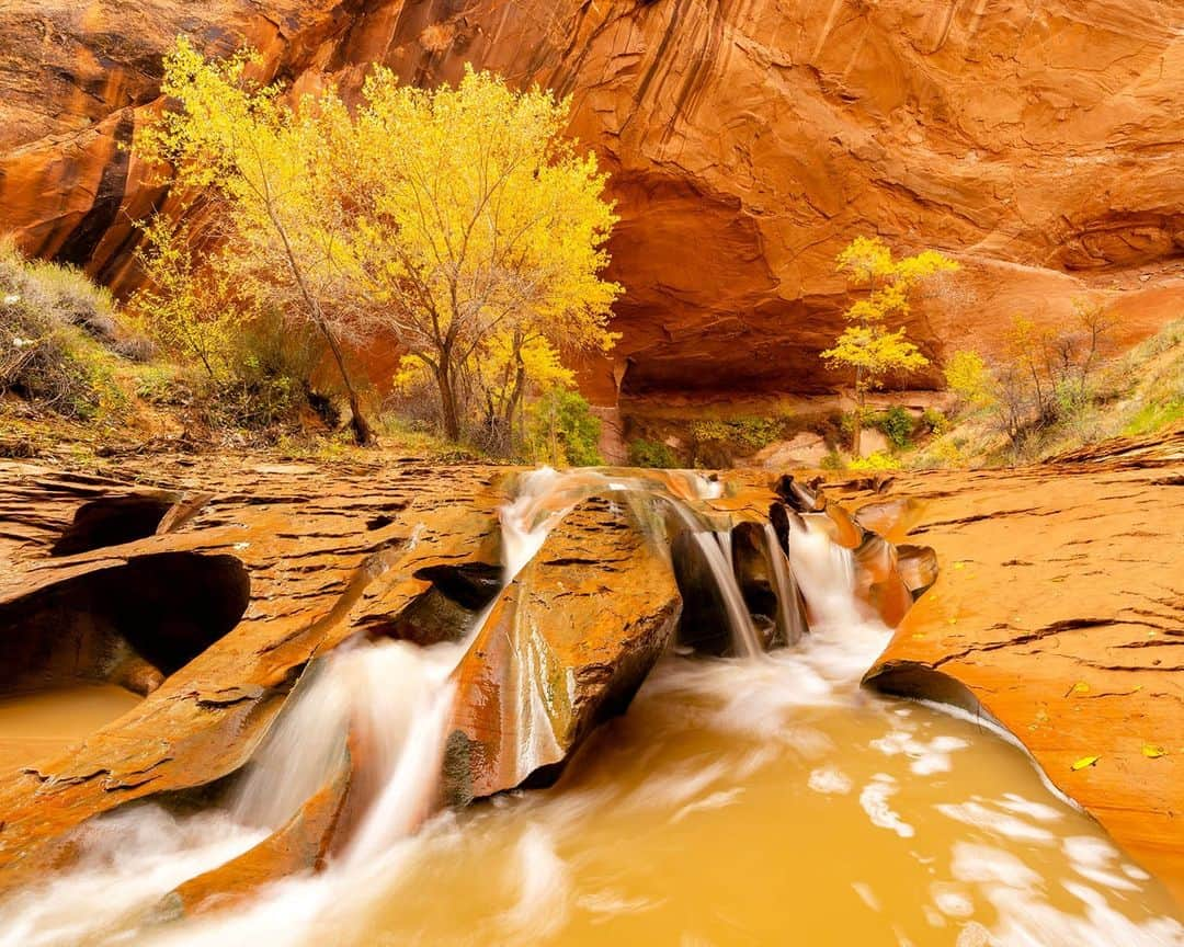 National Geographic Travelのインスタグラム：「Photo by @stephen_matera | Water in the desert can be magical, especially when the cottonwood trees are changing color, as they are here in southern Utah.   Follow me @stephen_matera for more images like this from Utah and around the world.」