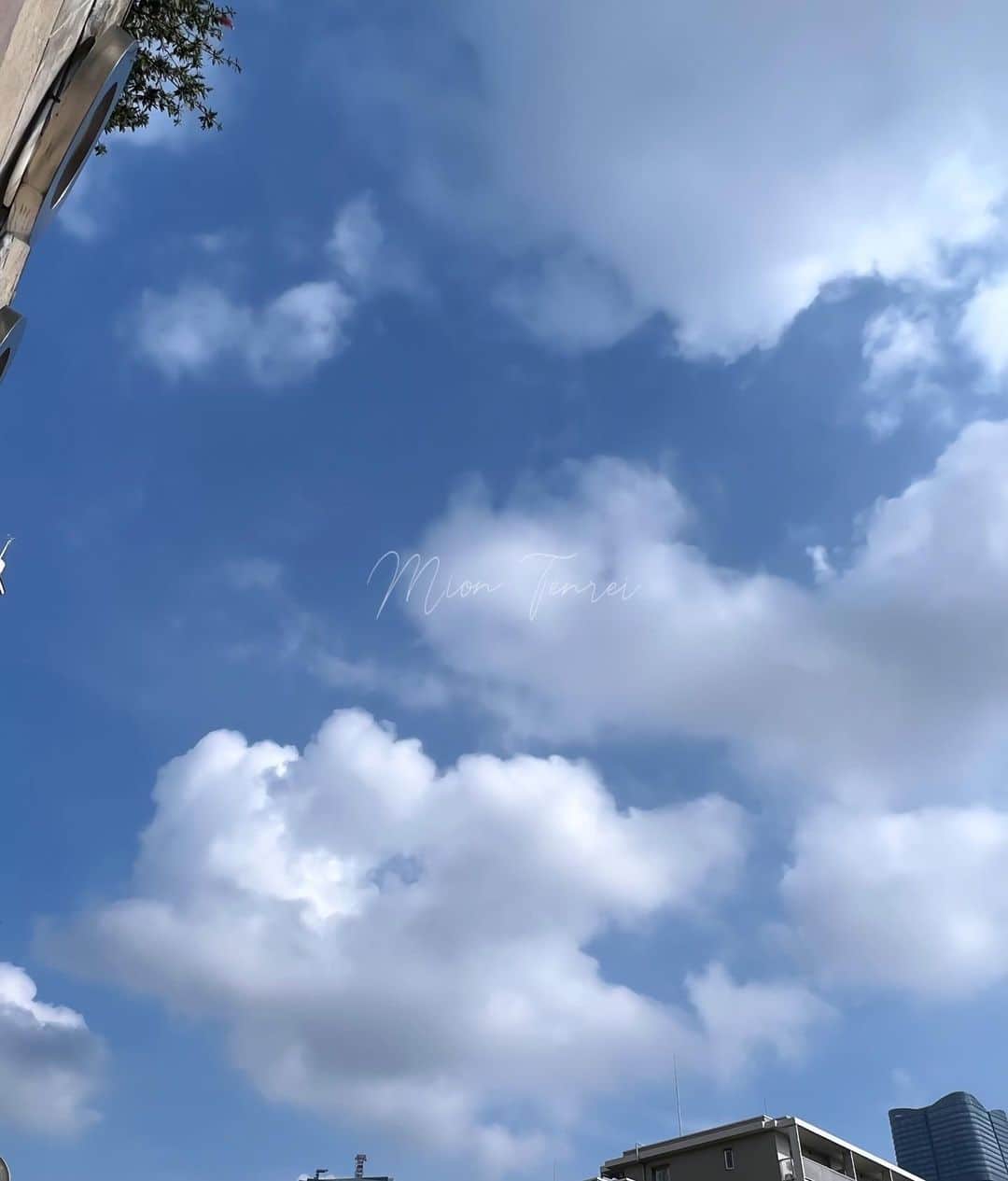 天玲美音さんのインスタグラム写真 - (天玲美音Instagram)「にこっと笑っているような雲☺︎ 可愛い可愛い雲🤍☁️ #美音の撮る空   #sky #skylovers #空が好き #空 #雲 #もくもく #にっこり雲」11月10日 12時42分 - miontenrei