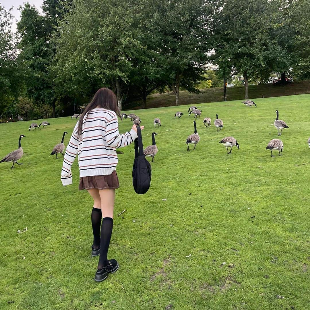 PIMTHAさんのインスタグラム写真 - (PIMTHAInstagram)「Aren't we the ugly ducklings? 🦆」11月10日 12時42分 - pimtha