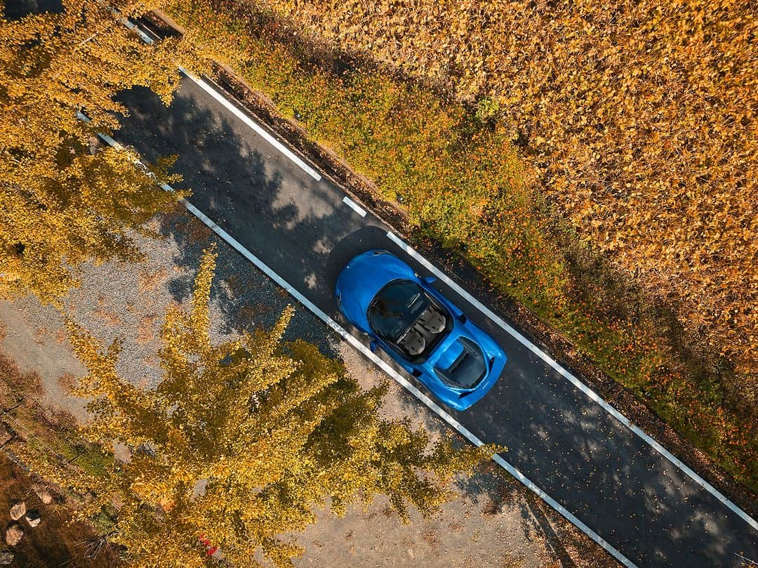 Ferrari APACさんのインスタグラム写真 - (Ferrari APACInstagram)「Immerse yourself in a rejuvenating open-top drive flanked by the dazzling autumn scenery in #Korea.  #Ferrari296GTS #DrivingFerrari #Ferrari #FerrariAPAC」11月10日 13時00分 - ferrariapac