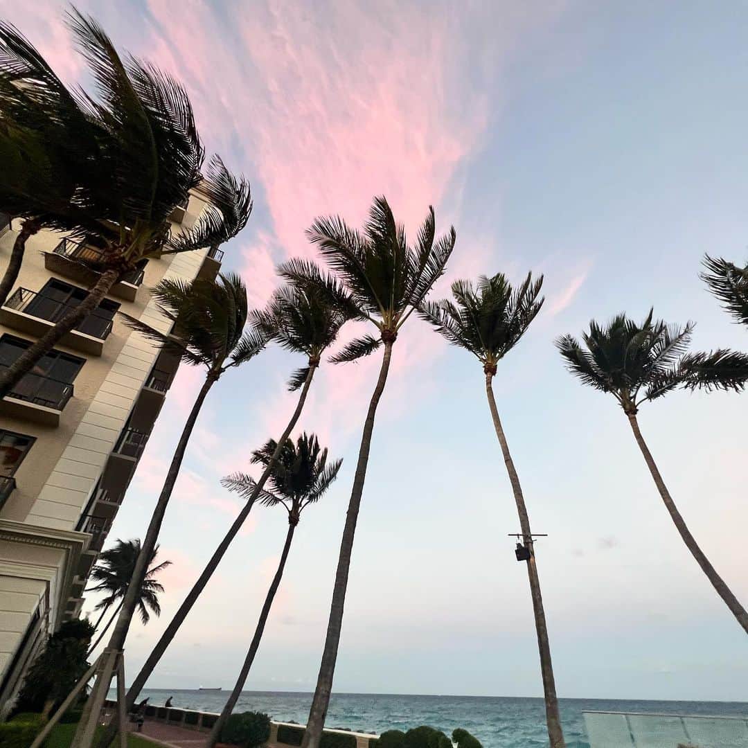クリスティ・ブリンクリーさんのインスタグラム写真 - (クリスティ・ブリンクリーInstagram)「We’re here in beautiful Palm Beach for the American Humane Hero Dog Awards! Tomorrow’s show will air on Thanksgiving! Im so excited to meet all the incredible dogs If I had a tail it would be wagging !  @americanhumane @herodogawards here w my agent @briandubin 🐾🐾」11月10日 13時07分 - christiebrinkley