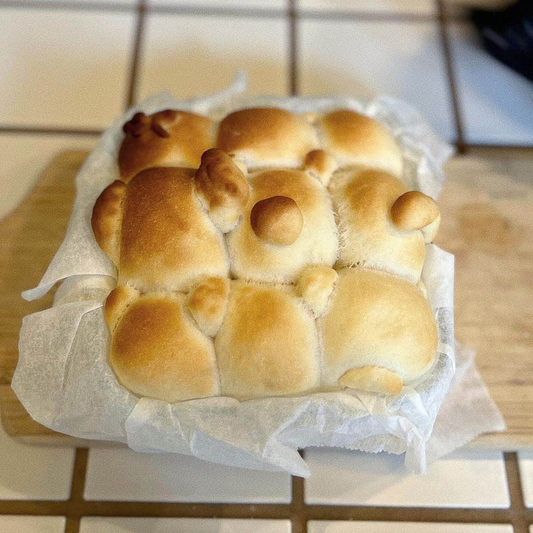 藤宮もなさんのインスタグラム写真 - (藤宮もなInstagram)「パン焼いたよ…あれれ……˘ᴗ˘？」11月10日 13時15分 - mona_drmf