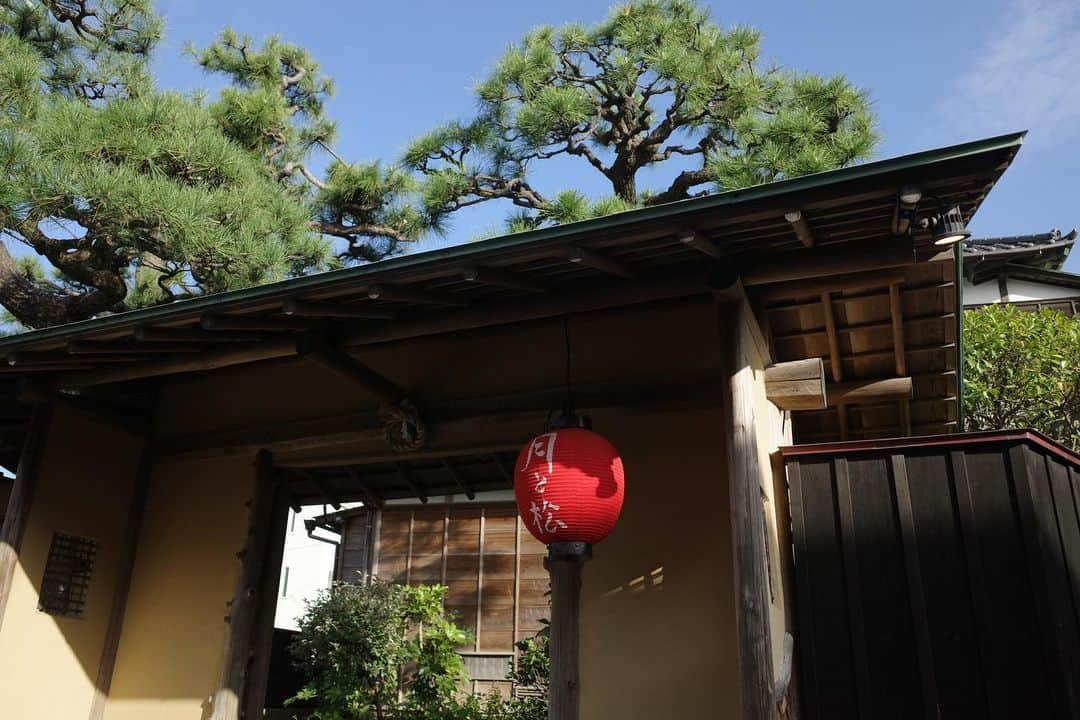 内山理名さんのインスタグラム写真 - (内山理名Instagram)「大好きな鎌倉🍂　  光の入り方が素敵な築百年日本家屋のお茶室で 友人たちとゆっくり良き時間でした♡  急に寒くなってきたので体調に気を付けて、暖かくして過ごしましょう✨  #birthdaylunch」11月10日 13時34分 - rinauchiyama_official