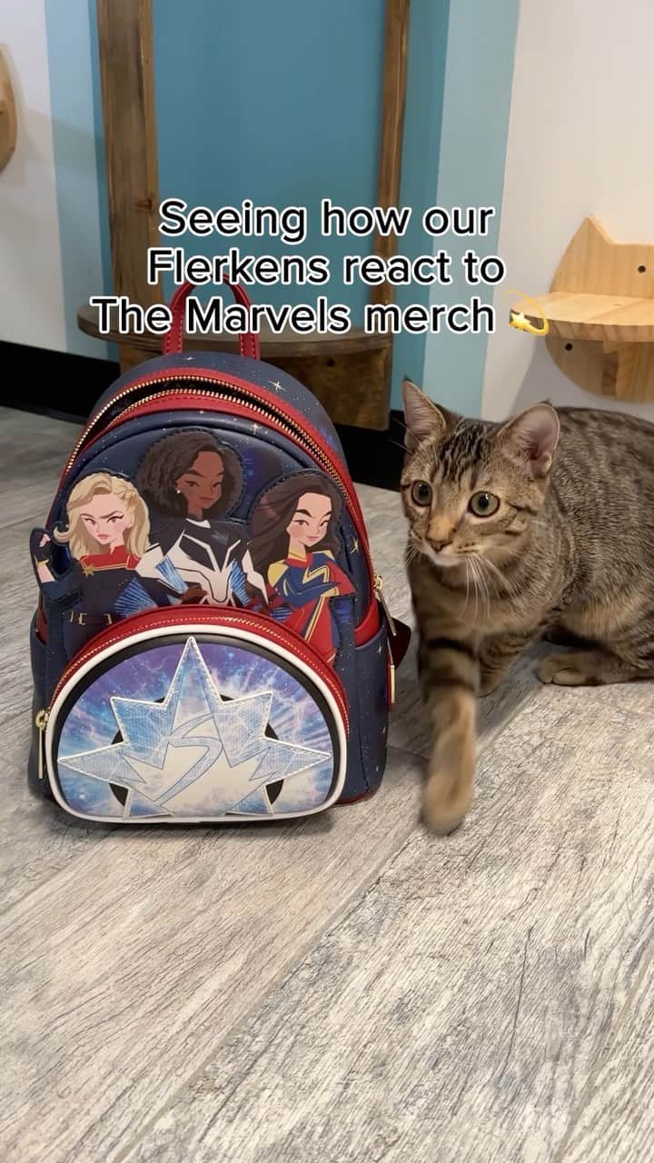 Marvel Entertainmentのインスタグラム：「Interrupting the feed for a 🐈 Flerken break 🐈  Gear up for #TheMarvels, in theaters now!」