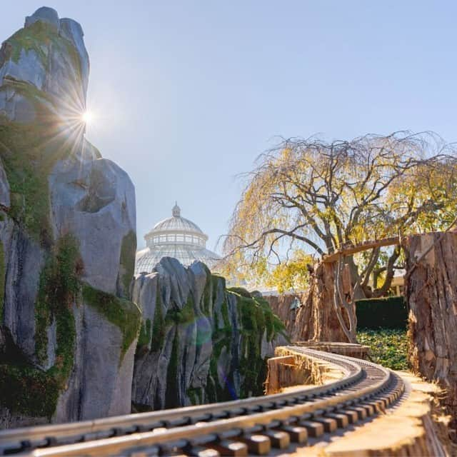 ニューヨーク植物園のインスタグラム：「The Holiday Train Show and NYBG GLOW open next Friday, and we’re right on track to unveil something new! 🚂🌲   Kick off the season starting November 17 with a visit to NYC’s favorite holiday experience, where our ALL-NEW outdoor train display creates the PERFECT spot for your holiday photos. Then get toasty indoors as trains zip past iconic New York landmarks under the warmth of the Conservatory. Once the sun sets, grab a drink and set out for NYBG GLOW, where you can soak up the beauty of the Garden illuminated after dark—or pick up tickets to our fan-favorite Bar Car Nights, back this year with evenings for folks 21-and-up to toast the show in style.   Visit the link in our bio to get your tickets now as we go all-in on the holiday cheer, and stay tuned for more reveals as the show nears!  #HTSNYBG #NYBGglow #BarCarNights」