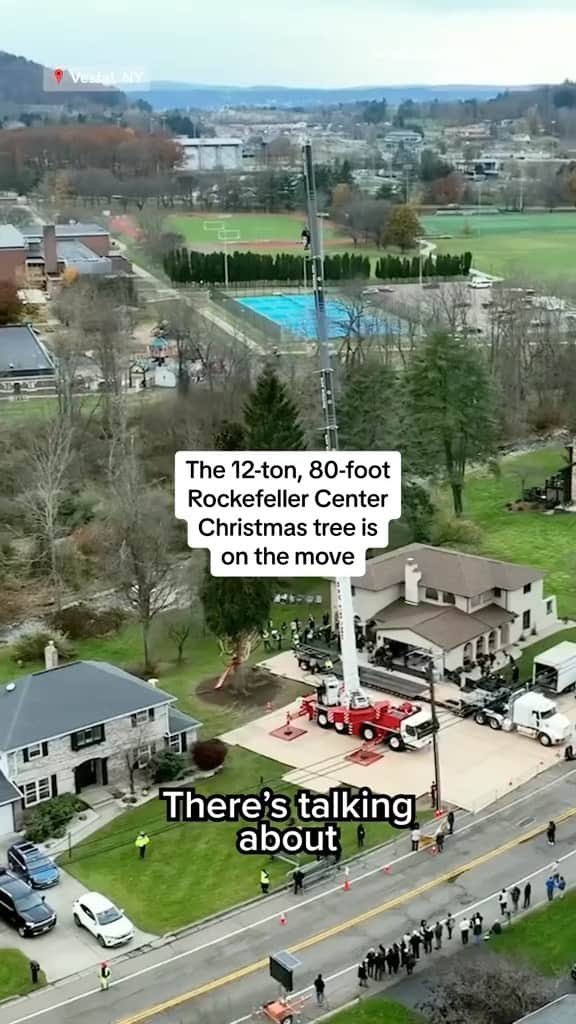 NBC Newsのインスタグラム：「The 2023 Rockefeller Center Christmas tree has been cut and is en route to arrive at 30 Rockefeller Center by Saturday.」