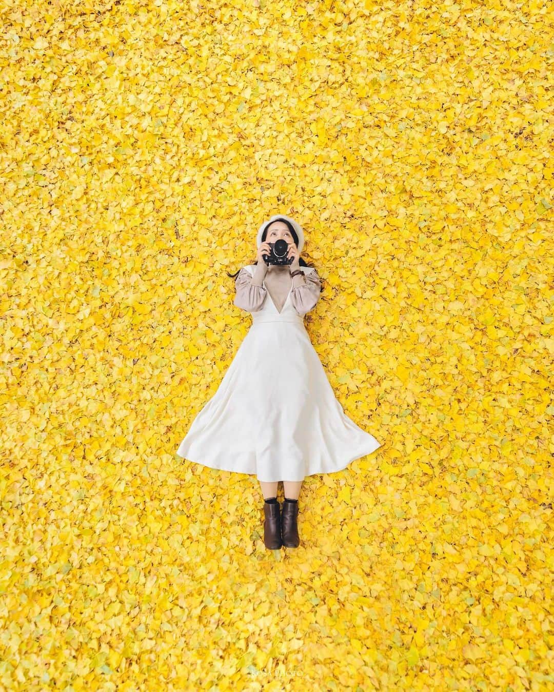 コサのインスタグラム：「黄色の壁紙  あー またこれ撮りたいなぁ〜 今月はスケジュールがタイトでちょっと厳しそう😅 . Location:兵庫 Hyogo /Japan🇯🇵 Date:2021年11月 in frame: @chami_2nd Camera:D5 / 15-30mm f2.8 . #アドビちいさい秋みつけた2023 #Japan_Daytime_View #jp_portrait_collection #ポトレファン倶楽部 #ポトレ撮影隊 #jp_mood #jp_portrait部 #clv_galerie #宍粟魅力発見 #m_v_shotz #tokyocameraclub #art_of_japan_ #jgrv_member #team_jp_ #photo_jpn #sorakataphoto #LBJ_KING #mst_vip #広がり同盟メンバー #special_spot_legend #japan_bestpic_ #Rox_Captures #pixlib_jp #じゃびふる #raw_japan #bestjapanpics #NICOSTOP #japan_waphoto #deaf_b_j_ #invisible_cool_part」