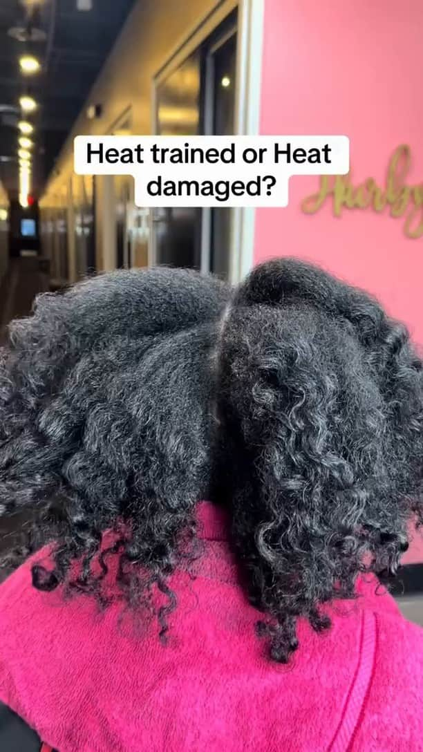 CosmoProf Beautyのインスタグラム：「What's the difference between heat trained hair and heat damaged hair?  @HairByNay247 explains: ► Heat damaged hair will not have a curl pattern. The hair acts as if you're growing out a relaxer and it cannot be restored. You'll have to grow new hair out or do a big chop.  ► Heat trained hair is healthy and you can flat iron it and it'll last through any season and you'll still have your curls and elasticity!  In this video, @HairByNay247's client's hair is heat damaged so she used @amika soulfood mask to moisturize and nourish the client's strands until she's ready for another cut.   Do you see client's with mostly heat damaged or heat trained hair? Let us know in the comments!  ► www.CosmoProfBeauty.com  #CosmoProf #amika #TexturedHairCare #TexturedStylist #TextureStylist #TexturedHair」