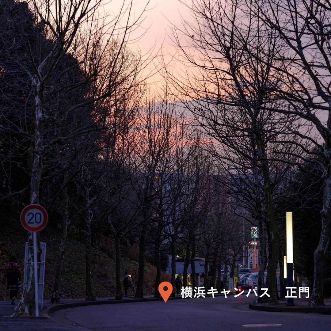 Meiji Gakuin/明治学院大学/明学さんのインスタグラム写真 - (Meiji Gakuin/明治学院大学/明学Instagram)「＼#明学 キャンパス　絶景スポット✨／  今日はキャンパスで見ることができる、 #明学生 目線の絶景スポットをご紹介します🪐  癒されたいとき、深呼吸したいとき、元気が欲しいとき… キャンパスで一度立ち止まって、 景色を眺めてみるのはどうでしょう😉  この投稿を保存して、ぜひチェックしてみてくださいね。  #明治学院大学 #白金キャンパス #白金 #横浜キャンパス #横浜 #戸塚 #明学 #明治学院 #明学 #勉強 #大学 #授業 #明学生 #メイガク #明学ライフ #大学生活 #キャンパスライフ #秋 #秋学期もがんばろう #夕景 #秋 #夜景 #mgu #meijigakuinuniversity #meijigakuin #meigaku #photography #photographer」11月10日 14時00分 - mguniv
