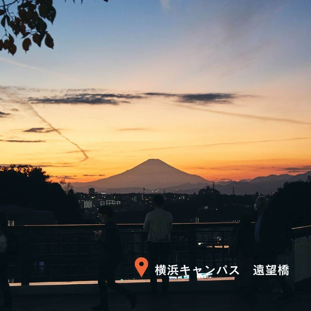 Meiji Gakuin/明治学院大学/明学さんのインスタグラム写真 - (Meiji Gakuin/明治学院大学/明学Instagram)「＼#明学 キャンパス　絶景スポット✨／  今日はキャンパスで見ることができる、 #明学生 目線の絶景スポットをご紹介します🪐  癒されたいとき、深呼吸したいとき、元気が欲しいとき… キャンパスで一度立ち止まって、 景色を眺めてみるのはどうでしょう😉  この投稿を保存して、ぜひチェックしてみてくださいね。  #明治学院大学 #白金キャンパス #白金 #横浜キャンパス #横浜 #戸塚 #明学 #明治学院 #明学 #勉強 #大学 #授業 #明学生 #メイガク #明学ライフ #大学生活 #キャンパスライフ #秋 #秋学期もがんばろう #夕景 #秋 #夜景 #mgu #meijigakuinuniversity #meijigakuin #meigaku #photography #photographer」11月10日 14時00分 - mguniv