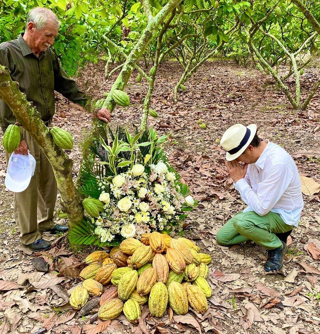 鎧塚俊彦のインスタグラム：「11月10日、女房の誕生日に共に植樹したCACAOの樹に13年前と同じコスチュームで献花する事が出来ました。 共に夢みたCACAO農園は13年経ち立派な実を数トンも実らせてくれる素晴らしい農園に育ってくれました。 支援者のヴィタリアーノ氏は相変わらず元気でドゥベール氏は息子￼の時代へと世代交代し、まだ中堅だった若旅氏は社長に就任してECUADOR YOROIZUKA CACAO FARMは盤石であります。 女房と皆様に感謝すると共に更なる発展を二人の夢のCACAOの樹に誓いました。 #toshiyoroizuka #鎧塚俊彦　#トシヨロイヅカ　#エクアドル　#カカオ　#kaoka  #ショコラ　#川島なお美」