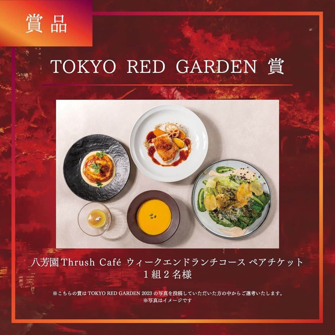 八芳園さんのインスタグラム写真 - (八芳園Instagram)「TOKYO RED GARDEN フォトコンテスト2023 🍁 #tokyoredgarden2023 🍁  ==========  秋、開花。  心のままに受け入れた、目に映る赤の絶景。  400年という時間をかけて季節を重ねてきた、 八芳園の池泉回遊式庭園。 今年も、赤く染め上がる季節が やってきました。  TOKYO RED GARDEN フォトコンテスト2023では、 “赤”をテーマとした投稿をお待ちしております。  深まりゆく秋の中、 皆様が心のままに受け入れた 美しい”赤”の景色で、 TOKYO RED GARDEN をさらに赤く染め上げましょう。  ==========  🍁応募方法 ①八芳園公式Instagram (@happoen) をフォロー。 ②「赤」をテーマにした写真・動画を撮影。 ③ #tokyoredgarden2023のハッシュタグをつけてInstagramに投稿してください。  🍁応募期間 2023年11月10日(金)～2023年12月10日(日)  🍁賞品 素敵な投稿をしていただいた方のなかより入賞された方には賞品をご用意しております。  <TOKYO RED GARDEN 賞> 八芳園 Thrush Café ウィークエンドランチコース ペアチケット 1組2名様  <美しい赤 賞> 八芳園 Thrush Café アフタヌーンティー ペアチケット 1組2名様  <紅葉 賞> 八芳園 Thrush Café ケーキセット ペアチケット 8組16名様  <GARDEN BAR 賞> 八芳園 Thrush Café プリフィックスコース ペアチケット 3組6名様  ※ <TOKYO RED GARDEN 賞>は「TOKYO RED GARDEN 2023」の写真をご投稿していただいた方の中からご選考いたします。  ※ <GARDEN BAR 賞>はTOKYO RED GARDEN2023「Thrush Café」または「GARDEN BAR」にお越しいただきご投稿していただいた方の中からご選考いたします。  ==========  🍁注意事項 ・八芳園以外で撮影した写真も可能です。 （【TOKYO RED GARDEN賞】【GARDEN BAR賞】は、八芳園にて開催する「TOKYO RED GARDEN 2023」で撮影された写真の中より選定させていただきます） ・Instagramフォローとハッシュタグの両方が必要となります。 ・投稿者様のSNSアカウントが非公開設定の場合は、無効となりますのでご注意ください。 ・必ずご自身で撮影した写真・動画をご応募ください。 ・入賞された方には1月下旬頃までにDMにてご連絡いたします。 ・八芳園公式Instagramアカウント（@happoen）以外から入賞のご連絡をすることは一切ございません。 ・八芳園公式Instagramアカウントを装った偽アカウント等には十分にお気をつけください。 ・入賞のご連絡から期日までにご返信のない場合は入賞を取消しとさせていただきます。 ・ご応募は日本国内にお住まいの方に限らせていただきます。 ・賞品写真はイメージです。賞品は店舗の営業状況によって変更となる可能性がございますのでご了承ください。 ・ご応募いただいた投稿は八芳園公式Instagramにてリポストさせていただく場合がございます。 ・入賞作品はフォトコンテスト特設サイトにてご紹介させていただきます。  ==========  ご不明な点やご質問がございましたら、コメント・DMにてお尋ねくださいませ🍁  皆様のご応募を心よりお待ちしております📷✨」11月10日 8時15分 - happoen
