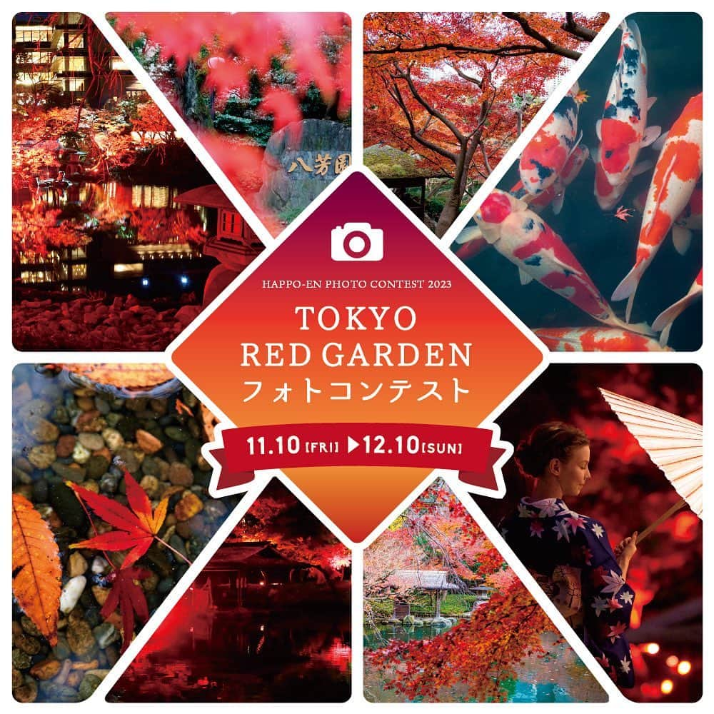 八芳園のインスタグラム：「TOKYO RED GARDEN フォトコンテスト2023 🍁 #tokyoredgarden2023 🍁  ==========  秋、開花。  心のままに受け入れた、目に映る赤の絶景。  400年という時間をかけて季節を重ねてきた、 八芳園の池泉回遊式庭園。 今年も、赤く染め上がる季節が やってきました。  TOKYO RED GARDEN フォトコンテスト2023では、 “赤”をテーマとした投稿をお待ちしております。  深まりゆく秋の中、 皆様が心のままに受け入れた 美しい”赤”の景色で、 TOKYO RED GARDEN をさらに赤く染め上げましょう。  ==========  🍁応募方法 ①八芳園公式Instagram (@happoen) をフォロー。 ②「赤」をテーマにした写真・動画を撮影。 ③ #tokyoredgarden2023のハッシュタグをつけてInstagramに投稿してください。  🍁応募期間 2023年11月10日(金)～2023年12月10日(日)  🍁賞品 素敵な投稿をしていただいた方のなかより入賞された方には賞品をご用意しております。  <TOKYO RED GARDEN 賞> 八芳園 Thrush Café ウィークエンドランチコース ペアチケット 1組2名様  <美しい赤 賞> 八芳園 Thrush Café アフタヌーンティー ペアチケット 1組2名様  <紅葉 賞> 八芳園 Thrush Café ケーキセット ペアチケット 8組16名様  <GARDEN BAR 賞> 八芳園 Thrush Café プリフィックスコース ペアチケット 3組6名様  ※ <TOKYO RED GARDEN 賞>は「TOKYO RED GARDEN 2023」の写真をご投稿していただいた方の中からご選考いたします。  ※ <GARDEN BAR 賞>はTOKYO RED GARDEN2023「Thrush Café」または「GARDEN BAR」にお越しいただきご投稿していただいた方の中からご選考いたします。  ==========  🍁注意事項 ・八芳園以外で撮影した写真も可能です。 （【TOKYO RED GARDEN賞】【GARDEN BAR賞】は、八芳園にて開催する「TOKYO RED GARDEN 2023」で撮影された写真の中より選定させていただきます） ・Instagramフォローとハッシュタグの両方が必要となります。 ・投稿者様のSNSアカウントが非公開設定の場合は、無効となりますのでご注意ください。 ・必ずご自身で撮影した写真・動画をご応募ください。 ・入賞された方には1月下旬頃までにDMにてご連絡いたします。 ・八芳園公式Instagramアカウント（@happoen）以外から入賞のご連絡をすることは一切ございません。 ・八芳園公式Instagramアカウントを装った偽アカウント等には十分にお気をつけください。 ・入賞のご連絡から期日までにご返信のない場合は入賞を取消しとさせていただきます。 ・ご応募は日本国内にお住まいの方に限らせていただきます。 ・賞品写真はイメージです。賞品は店舗の営業状況によって変更となる可能性がございますのでご了承ください。 ・ご応募いただいた投稿は八芳園公式Instagramにてリポストさせていただく場合がございます。 ・入賞作品はフォトコンテスト特設サイトにてご紹介させていただきます。  ==========  ご不明な点やご質問がございましたら、コメント・DMにてお尋ねくださいませ🍁  皆様のご応募を心よりお待ちしております📷✨」