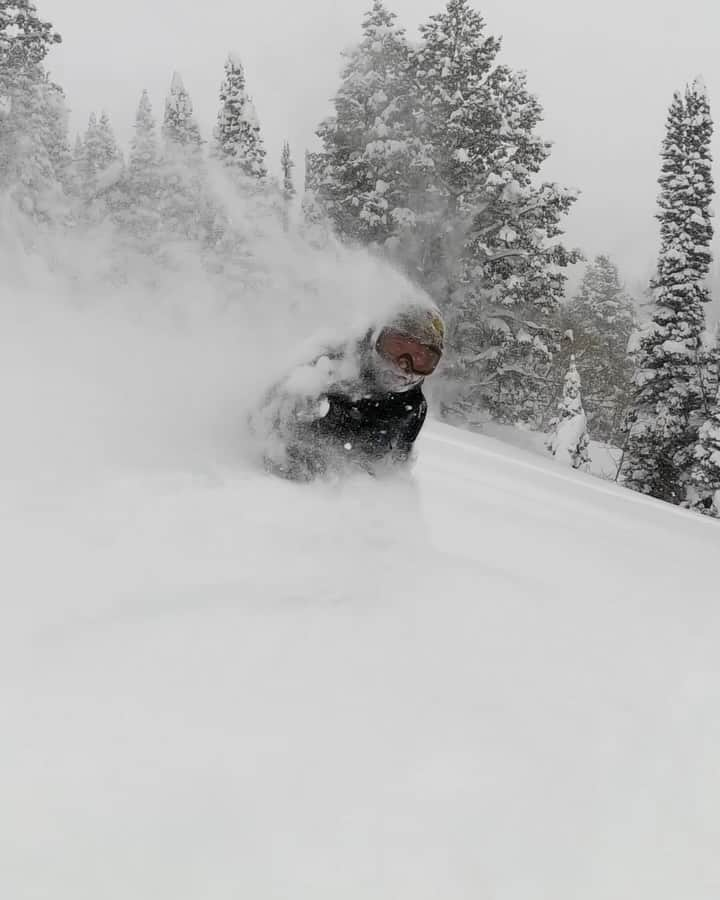 クイックシルバーのインスタグラム：「@bryanwfox got the almanac out and predicted more of this for the coming winter @quiksilver.snow   Shot by @bigjay_lilworld for Sequencer- playing at the link in our bio.」