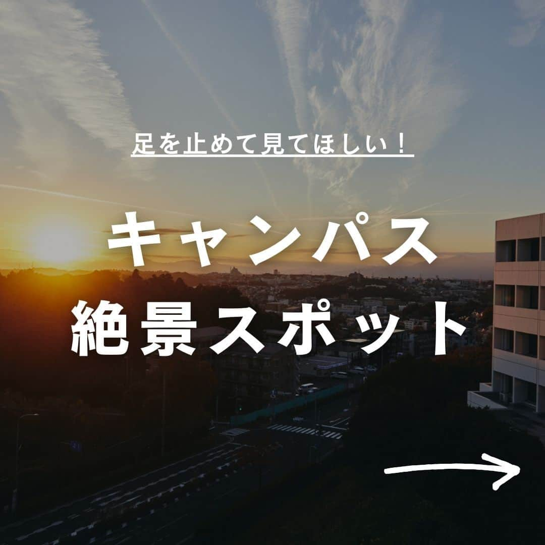 Meiji Gakuin/明治学院大学/明学のインスタグラム