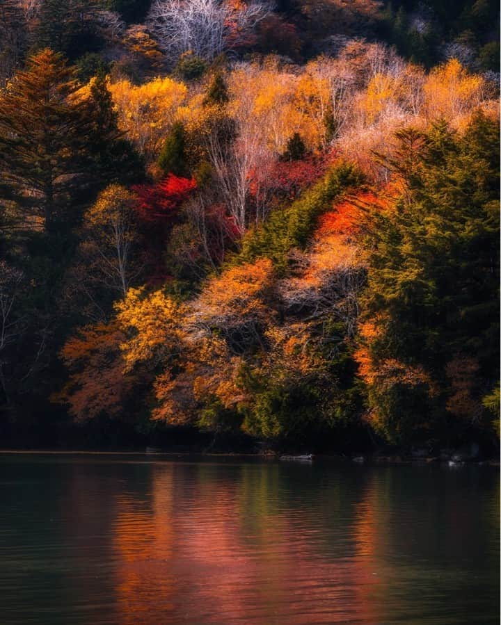 東京カメラ部公式さんのインスタグラム写真 - (東京カメラ部公式Instagram)「ブースト、お気に入り大歓迎！keishirooooonさんの投稿作品です。 . 【keishirooooonさん】 https://tokyocameraclub.com/mstdn/keishirooooon/ . 【投稿作品】 https://tokyocameraclub.com/mstdn/keishirooooon/111368484404312941 . 【登録はこちら：東京カメラ部インスタンス】 https://mstdn.tokyocameraclub.com/ . 【東京カメラ部アカウント】 https://mstdn.tokyocameraclub.com/@tokyocameraclub . 東京カメラ部インスタンスに登録いただき、ご自身のアカウントの投稿にハッシュタグ「#tokyocameraclub」を付けていただいた投稿が対象となります。ぜひ、気軽にご参加ください。 . ※各種法令、マナー、関係者の指示に従った撮影をお願いします。 *Please ensure that your photography adheres to all relevant laws, etiquette, and instructions issued by authorized persons. . #tokyocameraclub #東京カメラ部 #Japan #Photo #写真 #日本 #mastodon #マストドン #Photograph #Photography」11月10日 14時00分 - tokyocameraclub