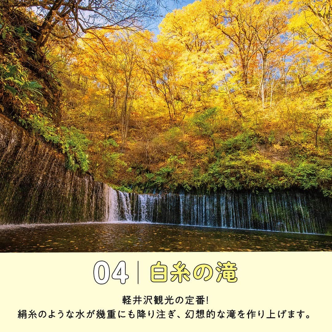 阪急交通社さんのインスタグラム写真 - (阪急交通社Instagram)「☑️公式アカウントの投稿はこちら →@hankyu_travel  旅行会社社員が厳選の旅行情報をお届け！ 今回は秋の軽井沢をご紹介！  ／ ✨保存して見返してね✨ ＼  －－－－－－－－－－－－－－－  【雲場池】 御膳水を源とする、六本辻近くにある静かな池で 軽井沢観光定番の観光地です🏝️ 軽井沢の気候が織成す情緒豊かな景色を 楽しむことができます🏞️ のんびり散策するのにおすすめの場所です✨ 📍アクセス：長野県北佐久郡軽井沢町軽井沢  【軽井沢レイクガーデン】 秋の軽井沢レイクガーデンではイロハモミジの紅葉や、 秋のバラを楽しむことができます🍁🌹 園内にはガーデンショップや雑貨店をはじめ、 欧風レストランやカフェなどの施設も充実しています☕ 📍アクセス：長野県北佐久郡軽井沢町発地342-59  【旧碓氷見晴台】 長野県と群馬県の県境にまたがる見晴台で、 条件が整えば雲海が眼下に広がります🌫️ 夏には新緑、秋には紅葉、 冬は美しい雪景色を楽しむことができます｡ また、旧軽井沢から「赤バス」に乗って 見晴台まで景観を楽しむこともおすすめです！🚍 📍アクセス：長野県北佐久郡軽井沢町峠町  【白糸の滝】 湾曲した水面がまるでステージのようで、 透き通った水で織り成すショーを 見ているような気分になります🤩 また駐車場から遊歩道で歩く道のりの景色もよく、 滝に到着するまで気分が盛り上がります✨ 📍アクセス：長野県北佐久郡軽井沢町長倉  【浅間牧場】 北軽井沢にある、標高1,300mに広がる800haの県営牧場。 爽やかな高原の中を散策したり、動物と触れ合ったり、 高原風景の中でのんびり過ごしたい方にオススメです🐄⛰️ しぼりたての新鮮な牛乳やソフトクリームも ぜひお楽しみください！🥛🍦 📍アクセス：群馬県吾妻郡長野原町北軽井沢  －－－－－－－－－－－－－－－  ※内容は投稿日時時点の情報です。状況により変更となる可能性がございます。 ※過去に掲載した情報は、期限切れの場合がございます。  🍃 当アカウントでは、阪急交通社社員が厳選の日本国内外の魅力的な風景、自然の美しさ、そして旅先のプチ豆知識をお届けします。ぜひプロフィールからフォローして他の投稿もチェックしてみてくださいね！ →@hankyu_travel ━━━━━━━━━━━━━━━━━━━  🌐弊社関連アカウント紹介 ーインスタパンフ→ @hankyu_travel_pamphlet  ━━━━━━━━━━━━━━━━━━━  #阪急交通社 #旅行 #国内旅行 #軽井沢 #雲場池 #長野 #軽井沢レイクガーデン #旧碓氷峠見晴台 #白糸の滝 #信州 #浅間牧場 #紅葉 #赤バス #南アルプス #浅間山 #妙義連峰 #八ヶ岳 #もみじ #牧場 #六本辻 #御膳水 #女子旅 #休日 #インスタ映え #旅スタグラム #travel #trip #instatravel #国内リゾート #軽井沢ウェディング」11月10日 14時00分 - hankyu_travel