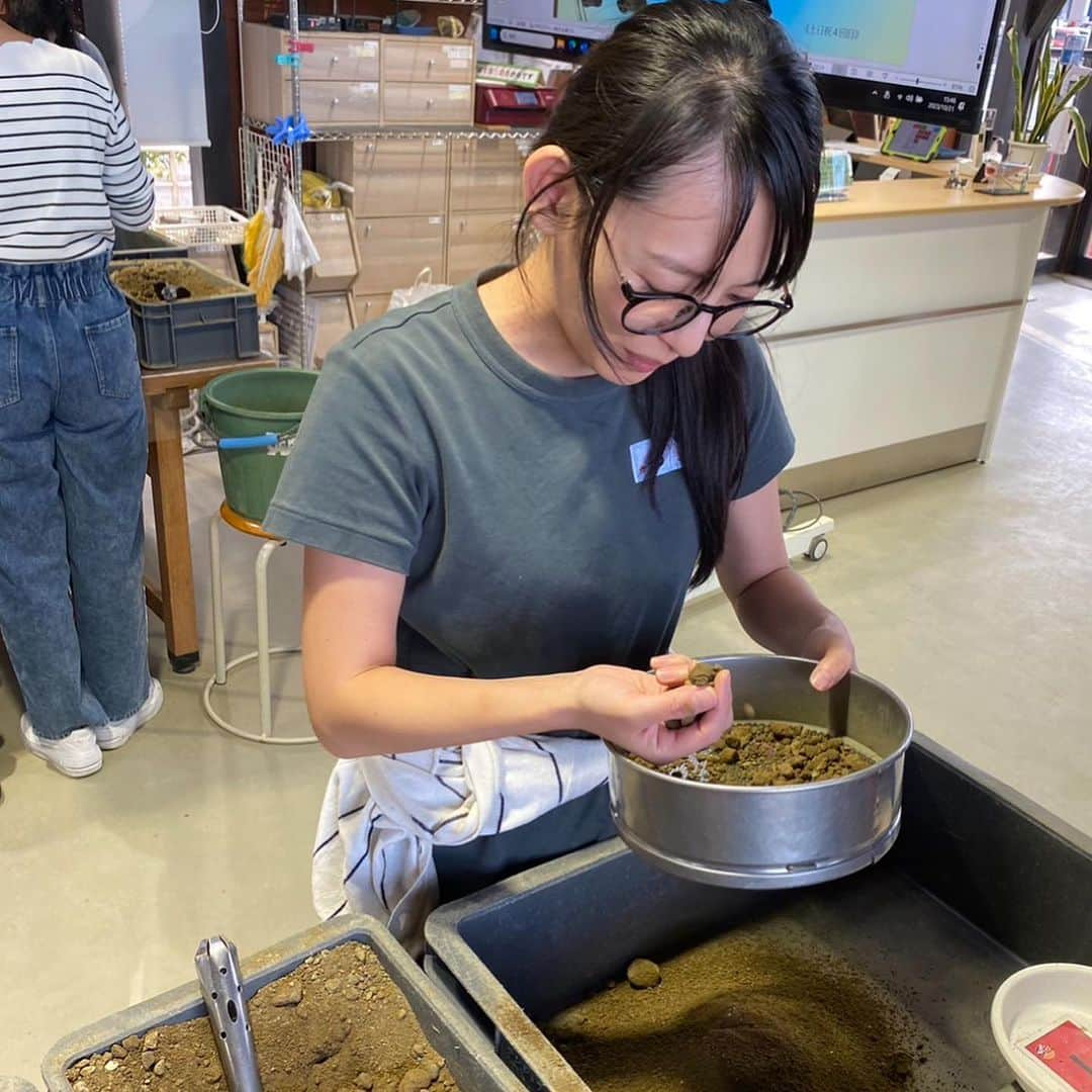 三浦奈保子さんのインスタグラム写真 - (三浦奈保子Instagram)「おはようございます☺️  久しぶりの更新になってしまいました💦 皆さまお元気でしたか？？ 今日は寒いのであたたかくして お出かけくださいね☺️  #東松山市　 #化石と自然の体験館　で、 化石発掘体験 をしてきました！！  地元の古代の地層の土から、 サメの歯やウニの棘などの 化石を見つけることができました🥹  じっくりこの辺りの地層の年代や、 どのような化石が出るか、 どのようなものが化石なのかの 説明スライドを見せていただいた後、  いざ土ケースから発掘開始‼️  これかな？？というものが見つかれば、 専門の先生が 同定してくださいます🥹  子供たちはたくさん化石を見つける中、  私のこれかな？？は  ことごとく先生や職員の方に、 「あーこれは石ですね！残念！」 「わー惜しいですね！」と言っていただき  (本当は惜しいとかないと思うのですが、、 先生や職員の皆さま、とても優しかったです🥹)  体験者中一人だけ 何も見つからず🤣🤣  たまたま次の回にキャンセルが出て 空きが出たということで、 再度チャレンジ🥹  やっと、 アオザメの歯を1つ見つける事ができました！！  一度見つけると、 化石の歯はピカピカ光っていて 石とはやはり全然違っていました🥹✨  (他の方は全員私よりたくさん見つけており、 アンモライトなども合わせて 一人で86個見つけていた手練れの坊やもいました... かっこいい....  リアル宝探しのように 子供も大人も 夢中で化石を探していましたよ😉  石割りをして化石を探す事もできたので、 高学年になったらそちらも 挑戦してみたいと思います☺️  化石や考古学に 興味が湧く、 素敵な体験でしたので  ぜひ皆さまも行ってみてください✨✨❗️  #子育て　#子育て日記　#子育てママ #小学生　#幼稚園 #子どもとお出かけ  #家族でお出かけ #知育　#育脳　#楽楽知育 #勉強　#子供の勉強　#小学生の学習　#学習 #お出かけスポット  #無料スポット #知育体験　#受験 #中学受験　#小学校受験　#高校受験 #お出かけノート #中学受験2024年組 #中学受験2025年組 #中学受験2026年組 #中学受験2027年組 #中学受験2028年組」11月10日 8時47分 - miura_naoko_