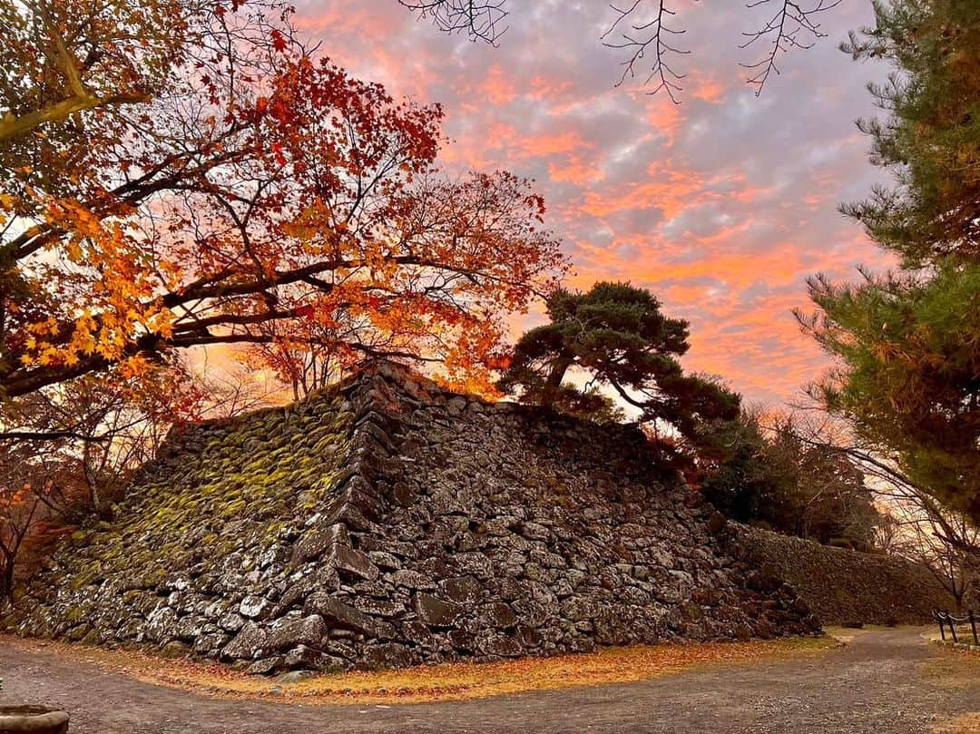 依田司さんのインスタグラム写真 - (依田司Instagram)「11月10日（金） 今年は紅葉前線がなかなか下りてきくれないので、標高６５９mの高原にある紅葉の名所、長野県小諸市の『小諸城址 懐古園』まで足を伸ばしました。今朝は底冷えする冷え込みで、スタッフは動物になりきってのお仕事です。 日本１００名城である小諸城には、４００年の歴史ある石垣が今も残り、この時期、モミジやケヤキなど、およそ１千本以上の木々が紅葉します。 例年と比べて２、３日遅れの紅葉です。 また、10年ぶりに復活した夜のライトアップも見逃せません！ 紅葉まつりは19（日）までの開催です。  #小諸城 #懐古園 #LACOSTE #ラコステ #依田さん #依田司 #お天気検定 #テレビ朝日 #グッドモーニング #気象予報士 #お天気キャスター #森林インストラクター #グリーンセイバーアドバンス #プロジェクトワイルド #IPCC伝導者 #japan #japantrip #japantravel #unknownjapan #japanAdventure #japanlife #lifeinjapan #instagramjapan #instajapan #療癒 #ilovejapan #weather #weathercaster #weatherforecast」11月10日 9時04分 - tsukasa_yoda