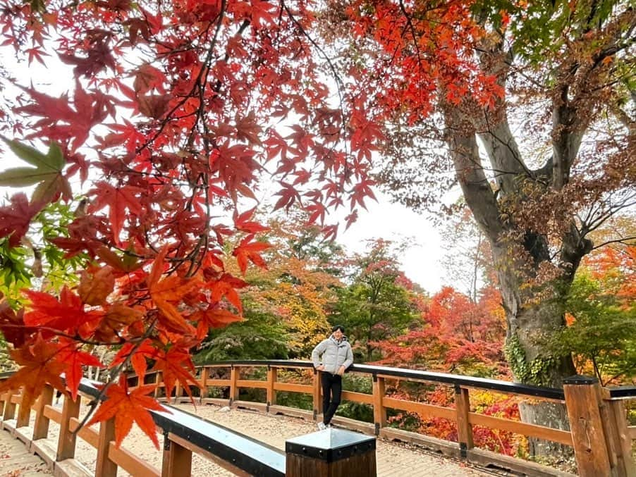 依田司さんのインスタグラム写真 - (依田司Instagram)「11月10日（金） 今年は紅葉前線がなかなか下りてきくれないので、標高６５９mの高原にある紅葉の名所、長野県小諸市の『小諸城址 懐古園』まで足を伸ばしました。今朝は底冷えする冷え込みで、スタッフは動物になりきってのお仕事です。 日本１００名城である小諸城には、４００年の歴史ある石垣が今も残り、この時期、モミジやケヤキなど、およそ１千本以上の木々が紅葉します。 例年と比べて２、３日遅れの紅葉です。 また、10年ぶりに復活した夜のライトアップも見逃せません！ 紅葉まつりは19（日）までの開催です。  #小諸城 #懐古園 #LACOSTE #ラコステ #依田さん #依田司 #お天気検定 #テレビ朝日 #グッドモーニング #気象予報士 #お天気キャスター #森林インストラクター #グリーンセイバーアドバンス #プロジェクトワイルド #IPCC伝導者 #japan #japantrip #japantravel #unknownjapan #japanAdventure #japanlife #lifeinjapan #instagramjapan #instajapan #療癒 #ilovejapan #weather #weathercaster #weatherforecast」11月10日 9時04分 - tsukasa_yoda