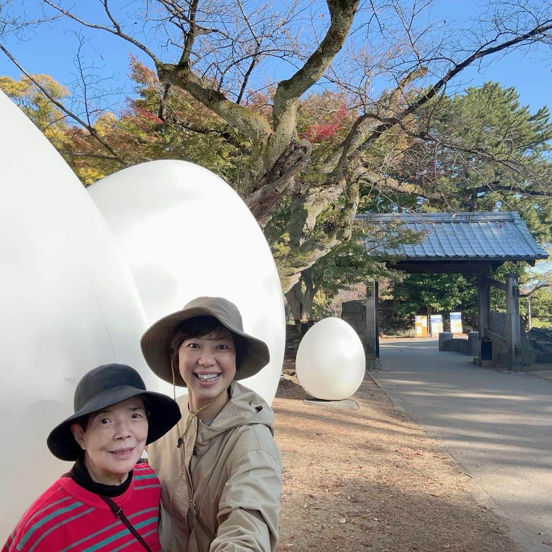 小谷あゆみさんのインスタグラム写真 - (小谷あゆみInstagram)「金沢のおいしいお店 #新天地 #赤城 で自然薯のお刺身、 #サロン #salon 3周年おめでとう🎈 金沢の母・雅子さんと金沢城散歩 たまごアート 今日は　#農業遺産シンポジウム 和倉温泉にて 全国の農業遺産地域の皆さまと地域資源の活性化について話し合います。 それにしても金沢はインバウンドすごくて 、こんなところにまでと思うような裏通りの古くて渋い老夫婦が細々やってるような店にまで押し寄せてきているのに驚いた。 時代の変革は地方から。そういうことなんだろうなぁ〜 いってきまーす #金沢グルメ  #ローカルガストロノミー #ジアスガストロノミー」11月10日 9時32分 - vegeanaayu