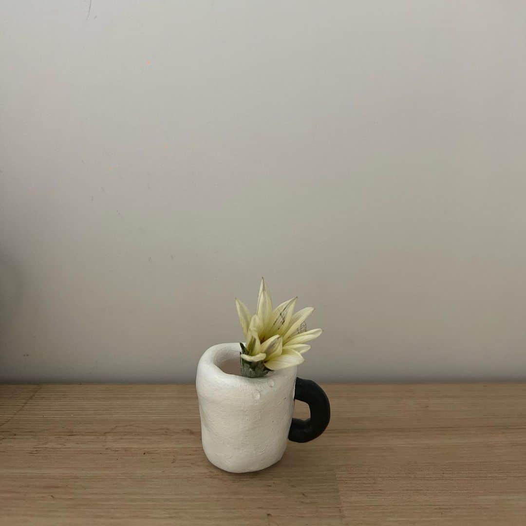 hiromi hashimotoさんのインスタグラム写真 - (hiromi hashimotoInstagram)「毎朝、保育園に咲いてるお花をお守りにする末っ子ちゃん。 今日はお迎えの時に交換するという約束。  仕事机に飾ってちゃんとお水入れてねって、  小さな小さなマグカップ。 何入れよう？なわがままサイズも好きよー どちらも🫶🏻」11月10日 10時02分 - _hiromi_hashimoto