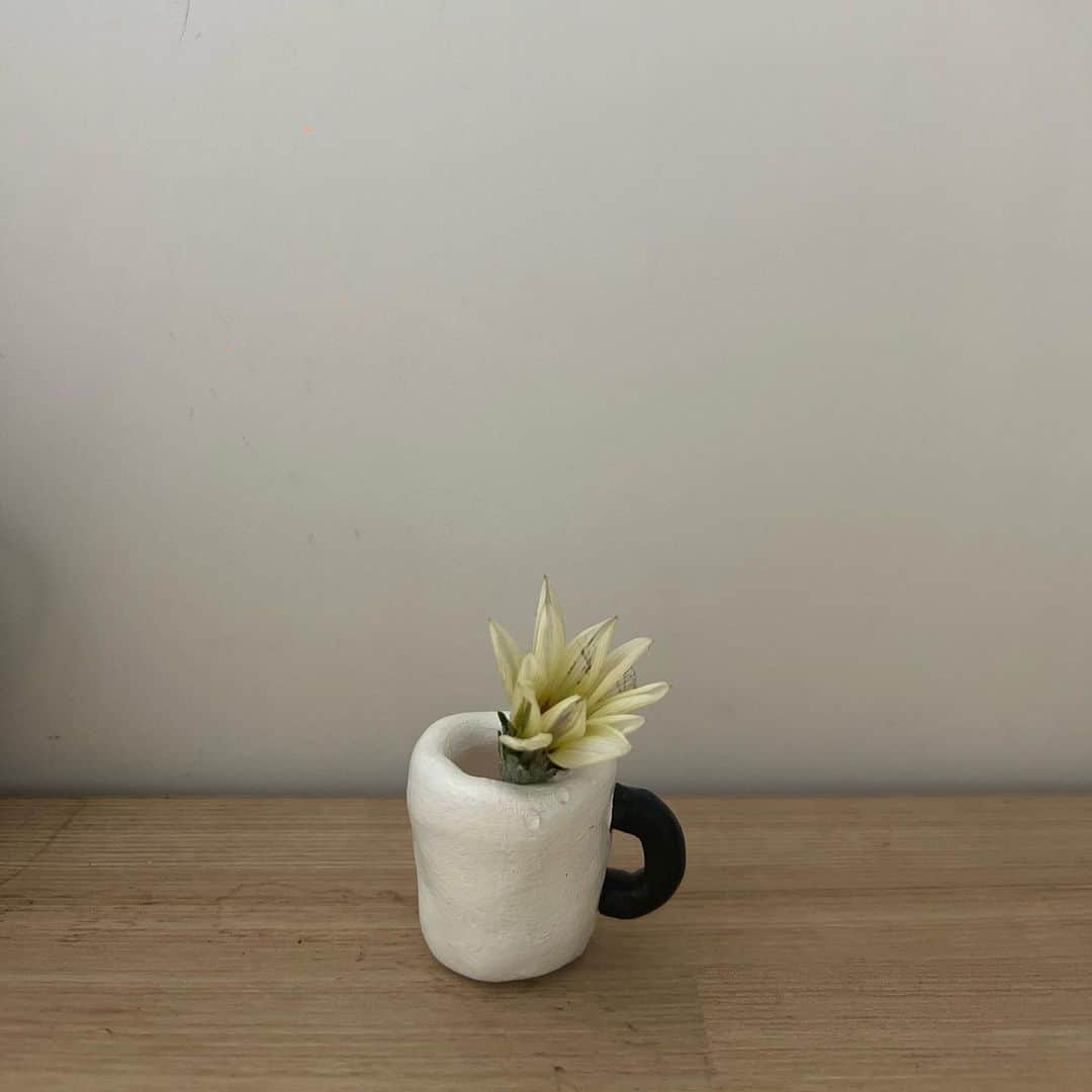 hiromi hashimotoのインスタグラム：「毎朝、保育園に咲いてるお花をお守りにする末っ子ちゃん。 今日はお迎えの時に交換するという約束。  仕事机に飾ってちゃんとお水入れてねって、  小さな小さなマグカップ。 何入れよう？なわがままサイズも好きよー どちらも🫶🏻」