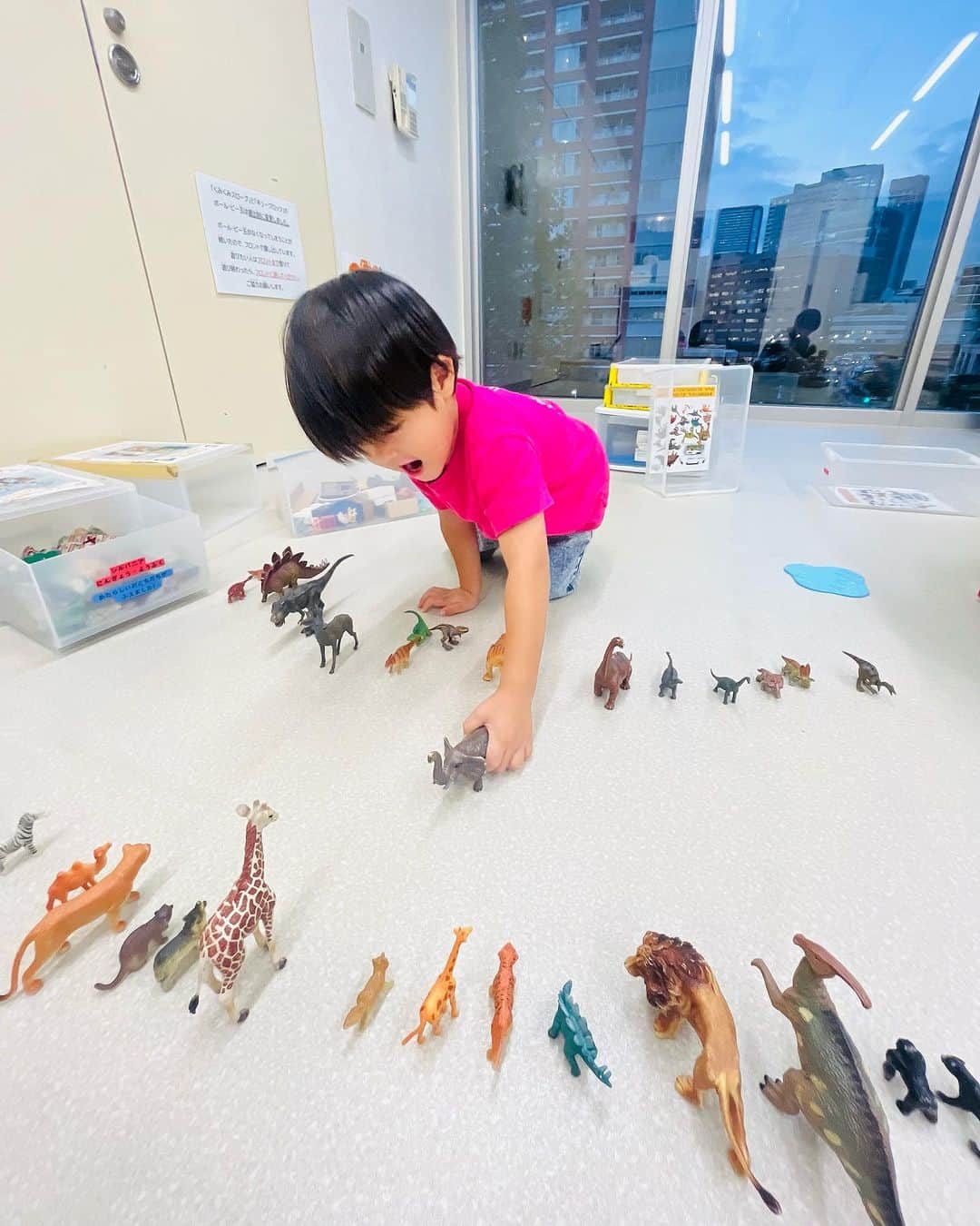 清澤恵美子のインスタグラム：「恐竜VS動物 #負けられない戦いがそこにある  #児童館　#本当素晴らしい場所」