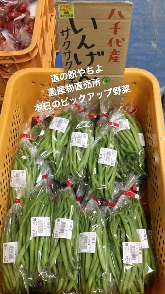 道の駅やちよのグルメインスタ