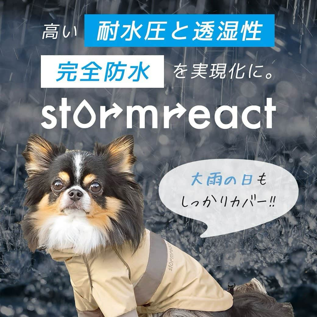 iDog&iCatさんのインスタグラム写真 - (iDog&iCatInstagram)「★新商品★  「STORM REACT 完全防水後開きレインジャケット」  高い撥水性と防水性・耐水圧・透湿性を兼ね備えた高機能レインコート。 後開きタイプで着せやすく雨の日も快適にお出かけできます。  雨も風も雪も防いで快適にお散歩に行ける愛犬用のレインウェアです。 しっかり防水するのに湿気がこもりにくい高機能素材で仕上げました。 オシャレなニュアンスカラーで軽いアウターとしてのデイリーユースにもピッタリです。  商品番号/16936- 商品名/STORM REACT 完全防水後開きレインジャケット 4,070円(税込)  #IDOGICAT #犬の服IDOG #ICAT #IDOG #ドッグウェア #ペットウェア #犬服 #犬の服 #秋冬新作 #2023AW #犬 #猫 #新作 #新発売 #dog #cat #わんすたぐらむ #うちの子優勝 #秋冬 #新商品」11月10日 10時34分 - idogicat