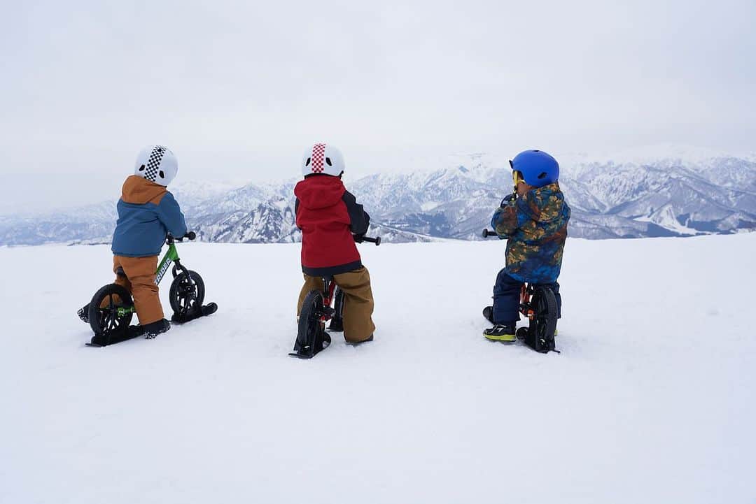 striderjapanさんのインスタグラム写真 - (striderjapanInstagram)「冬の冒険がはじまるよ スノーストライダーを持って出かけよう。  小さなお子さまでも簡単で気軽にウィンタースポーツが楽しめるストライダー専用のスキーアタッチメントで、新たな冬遊びを楽しみませんか？ ゲレンデに限らず、雪が積もった公園でも遊び放題です！  スキーやスノーボードに比べて操作が簡単で、ストライダーにまたがり、いつも走っている路面と同じように雪を蹴るだけ！  特設サイト https://www.strider.jp/funevent/snow/  #スノーストライダー #ストライダー #ストライダーに乗ろう #strider」11月10日 10時41分 - striderjapan