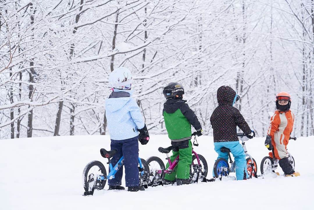 striderjapanさんのインスタグラム写真 - (striderjapanInstagram)「冬の冒険がはじまるよ スノーストライダーを持って出かけよう。  小さなお子さまでも簡単で気軽にウィンタースポーツが楽しめるストライダー専用のスキーアタッチメントで、新たな冬遊びを楽しみませんか？ ゲレンデに限らず、雪が積もった公園でも遊び放題です！  スキーやスノーボードに比べて操作が簡単で、ストライダーにまたがり、いつも走っている路面と同じように雪を蹴るだけ！  特設サイト https://www.strider.jp/funevent/snow/  #スノーストライダー #ストライダー #ストライダーに乗ろう #strider」11月10日 10時41分 - striderjapan