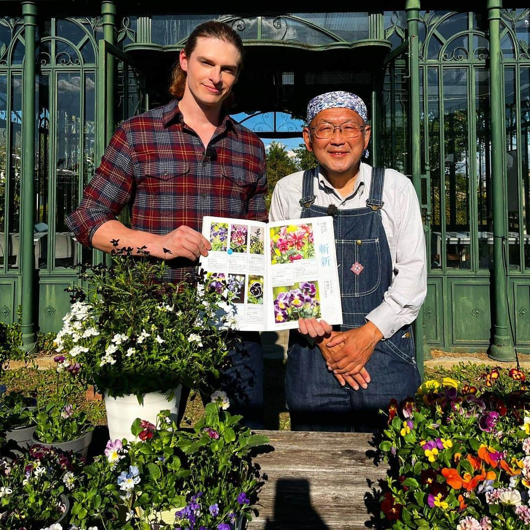 村雨辰剛のインスタグラム：「パンジービオラ個性派続々！🌼 今回の趣味の園芸では金子明人さんと一緒に注目の品種を紹介します！ パンビオ好きな方もこれからという方も、是非観てください！🌸  NHKE 11月12日（日） 午前8:30 〜 午前8:55  #趣味の園芸」