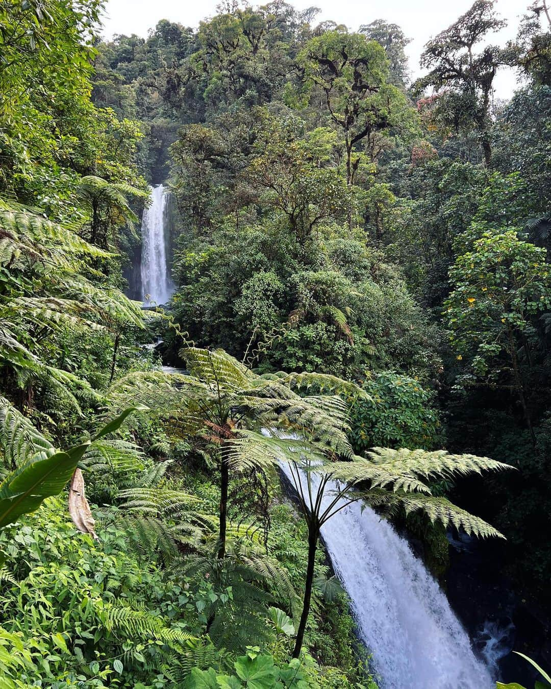 エリック・ラドフォードさんのインスタグラム写真 - (エリック・ラドフォードInstagram)「Costa Rica, you’re beautiful!  #costarica #paosvolcano #lapazwaterfallgardens #travel #jungle」11月10日 11時35分 - ericradford85