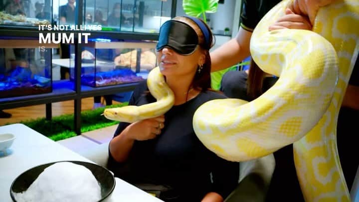 アリ・シンプソンのインスタグラム：「“alli, it’s plastic…” *jumps* ahahaha you’ve got to be sh*tting me mum @angiemsimpson   the @amazingraceau grand finale was wild 🐍 to say the least #AmazingRaceAU」