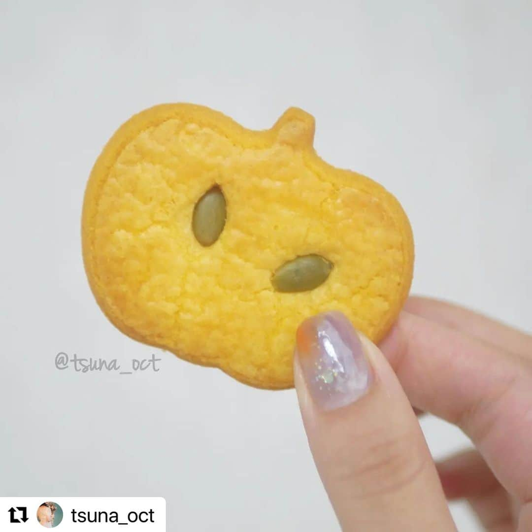 【PLANET NAIL（プラネット ネイル）】公式さんのインスタグラム写真 - (【PLANET NAIL（プラネット ネイル）】公式Instagram)「✰✰✰✰✰✰✰✰✰✰✰✰✰✰✰ PLANET Girl🪐 @tsuna_oct さま♡  PLH04 エトワールグレー を使った大人可愛いネイルデザインを ご紹介します😌🩷🩷🩷  ハロウィン用にデザインされたものですが このカラーバランスとかマーブル感とか たまらなく可愛くて🥺🥺🥺 ╍ ╍ ╍ ╍ ╍ ╍ ╍ ╍ ╍ ╍ ╍ ╍ ╍ ╍ ╍ ╍  💅🏻💅🏻⁡ ⁡.⁡ ⁡⁡ ⁡ #planetハロウィンコンテスト2023 🎃🦇⁡ ⁡今月いっぱいまで開催中です✨✨⁡ ⁡.⁡ 私たち #プラネットガール2023 も審査員を務めさせていただきます🥹⁡ ⁡既にたくさんの方が参加してくださってて、どれも素敵ネイルばかりでわくわくが止まりません🥺🫧⁡ ⁡景品めちゃくちゃ豪華なので、まだの方もぜひ！参加してみてくださいね💭💭⁡ ⁡.⁡ ⁡⁡ ⁡今日のネイルは、 #ハロウィンネイル 🎃👻⁡ ⁡ #エトワールグレー にオレンジとパープル、ホワイトをもやっとさせたシンプルネイルです🧡💜⁡⁡ 右手ネイルなのでシンプルめに仕上げましたが、お気に入りが出来ました🔥 ⁡.⁡ ⁡⁡ ⁡使用品は、⁡ ⁡・@planet.jp ⁡ ⁡ #プラネットネイル PLH04 エトワールグレー⁡ ⁡・@parado_nailbu ⁡ ⁡ #parado  #アサヤケソーダ  #サンストーン .⁡ ⁡・@ohanamahaalo   #オハナマハロ OH-017⁡ ⁡です🦇🦇⁡ ⁡.⁡ ⁡⁡ ⁡ #パラドゥミニネイル のカラーたちの中から、透け感のあるものを選んだので左手でも簡単にぼかせてよかったです🫶🏻🫶🏻✨⁡ ⁡.⁡⁡ ⁡ ⁡この前アフヌン行った時にりんりんがくれた、クッキーとも一緒に写真撮ってみました👏🏻⁡ ⁡クッキーめっちゃ美味しかったー！りんりんありがとう🥹🫶🏻🫶🏻⁡⁡ ⁡@misa_rin1129 .⁡ ⁡⁡ ⁡ #tsuna_planetnail  #planetnail ⁡ ⁡ ⁡.⁡ ⁡⁡ ⁡ #tsuna_naildesign  #ニュアンスネイル  #簡単ネイル  #時短ネイル  #初心者ネイル  #セルフネイル初心者  #セルフネイル  #ポリッシュネイル  #マニキュアネイル  #プチプラネイル  #コンビニネイル  #ohanamahaalo  #パラドゥ  #パラドゥネイル部  #秋ネイルデザイン  #秋ネイル2023  #ハロウィンネイル2023  #Selfnail」11月10日 11時38分 - planet.jp